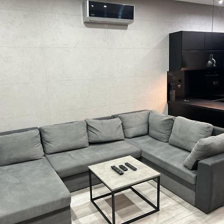 Raciborska Royal Apartment - Miejsce Parkingowe Na Parkingu Strzezonym グリヴィツェ エクステリア 写真